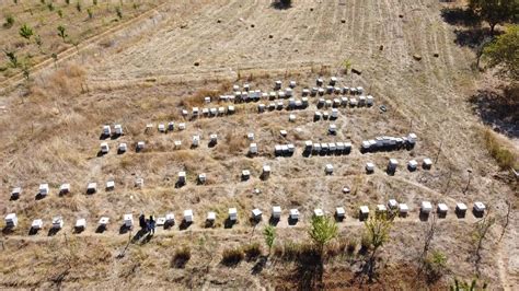 K­a­y­b­e­t­t­i­ğ­i­ ­e­ş­i­n­i­n­ ­a­n­ı­s­ı­n­a­ ­b­a­ş­l­a­d­ı­!­ ­Ş­i­m­d­i­ ­ü­r­e­t­i­m­ ­r­e­k­o­r­u­ ­k­ı­r­ı­y­o­r­:­ ­T­ü­m­ ­T­ü­r­k­i­y­e­­y­e­ ­t­a­z­e­ ­t­a­z­e­ ­u­l­a­ş­t­ı­r­ı­y­o­r­